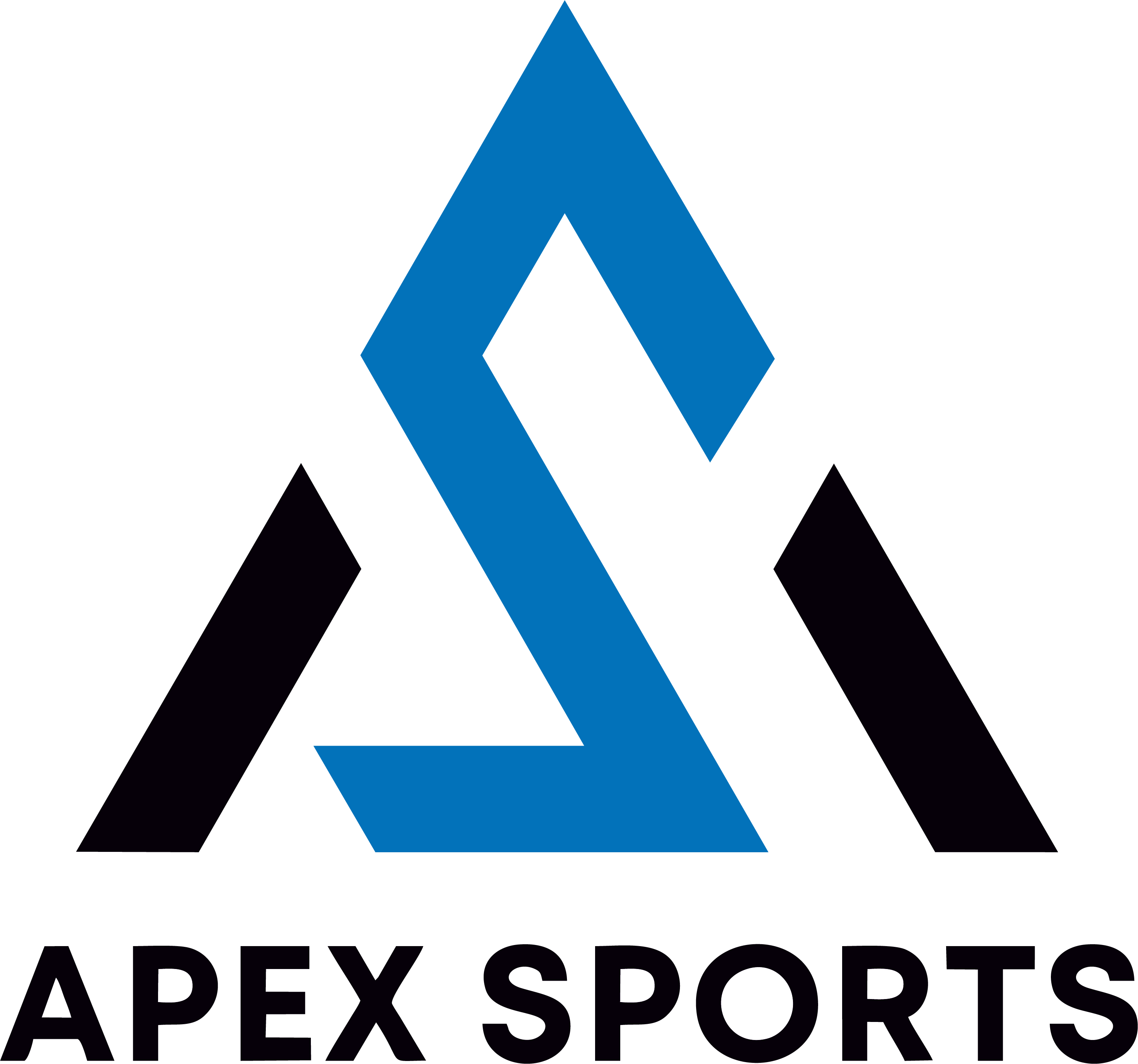 Apex Sports Pune