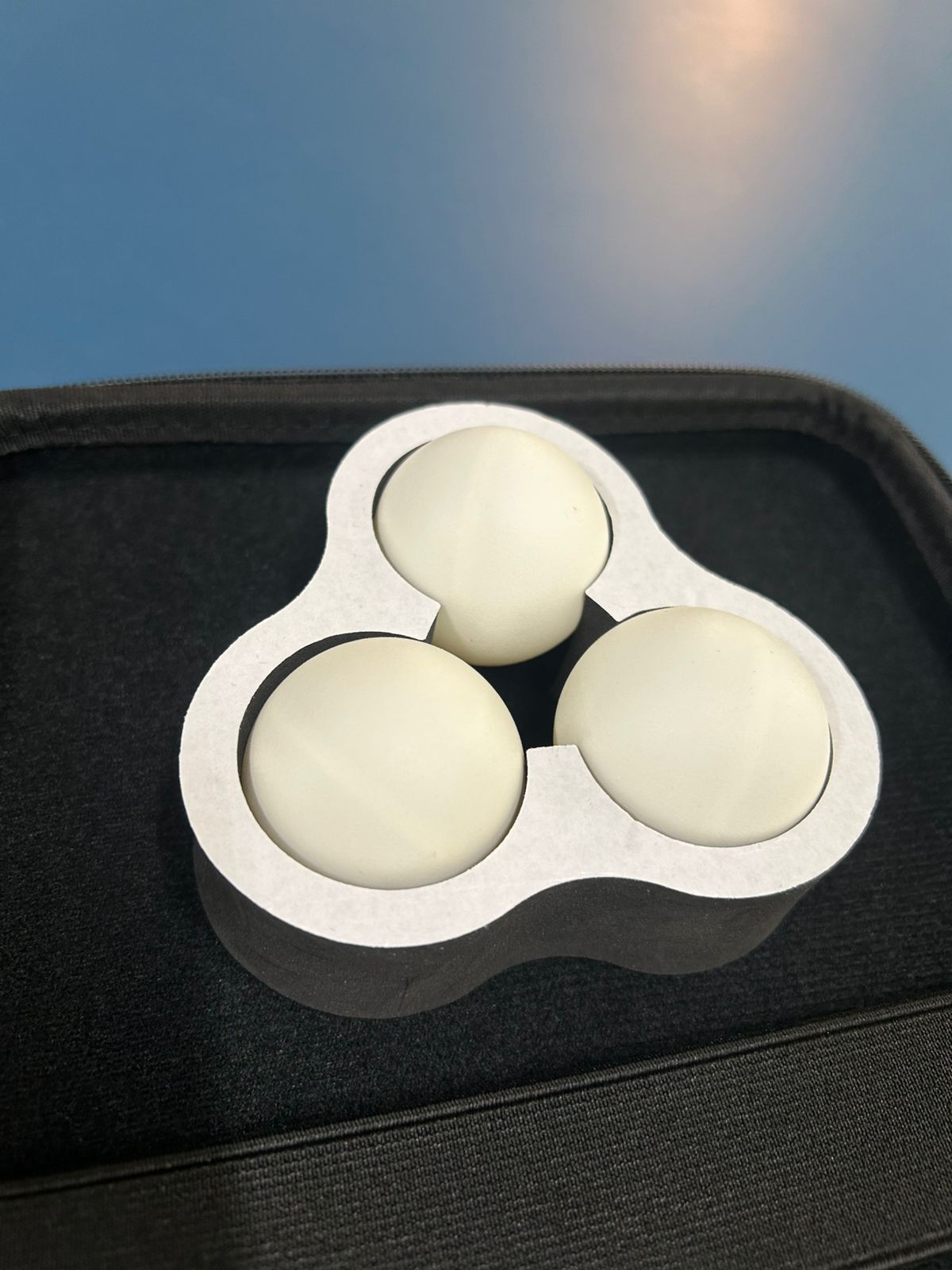 TT Racket Case Apex Rectangular