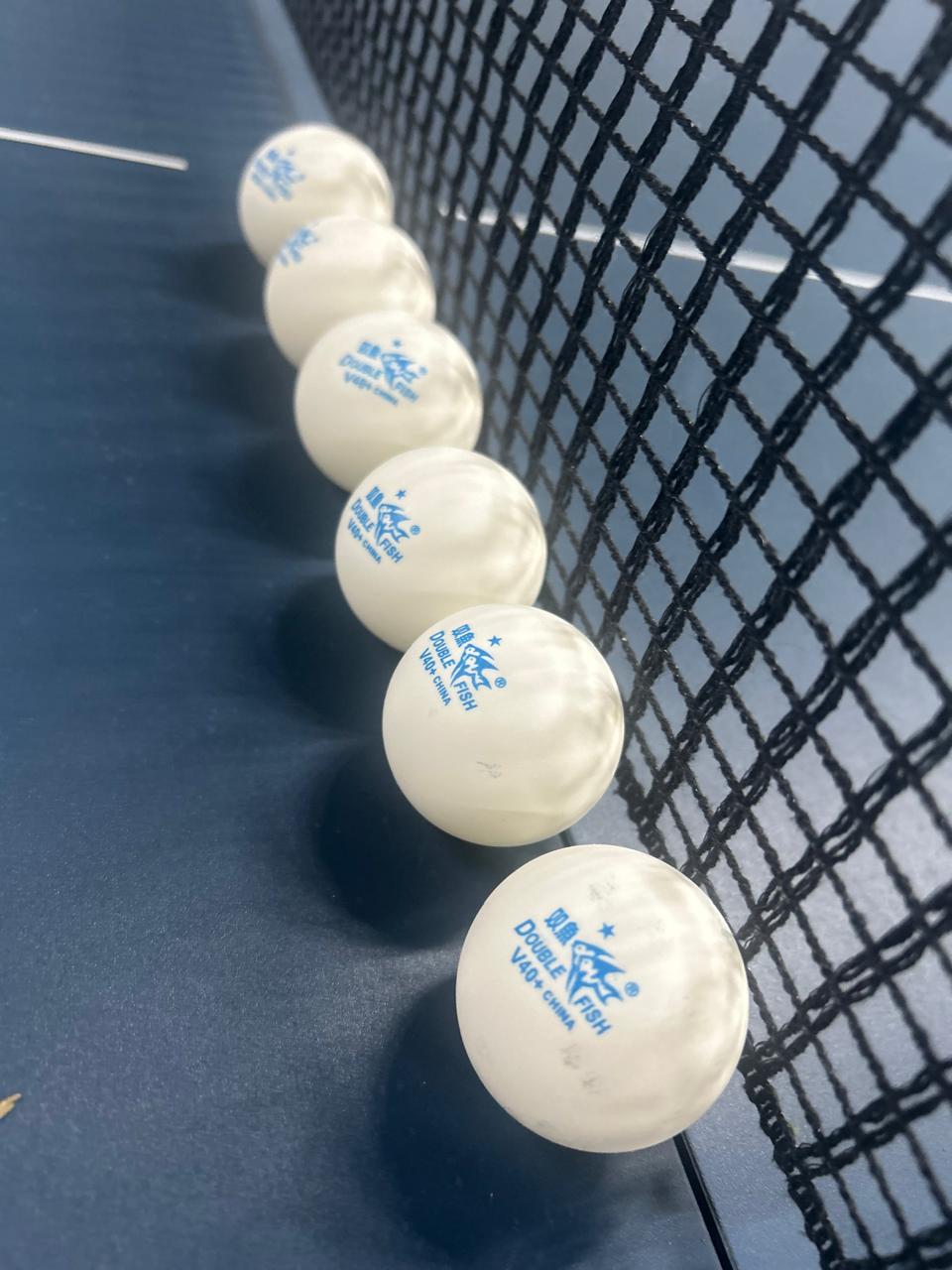 Double Fish Table Tennis 1 Star Balls