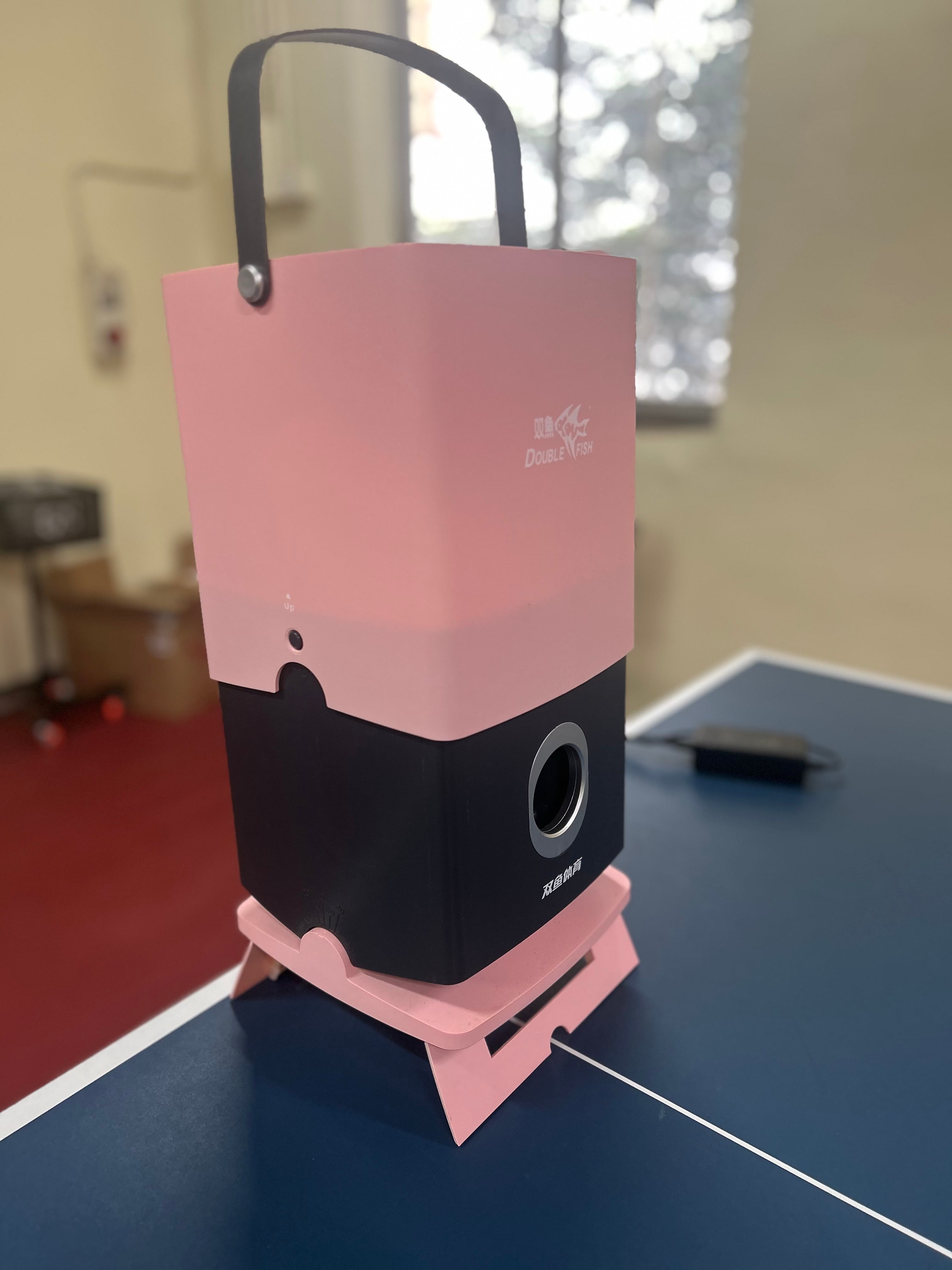 Double Fish Little fish Wire Controlled Robot