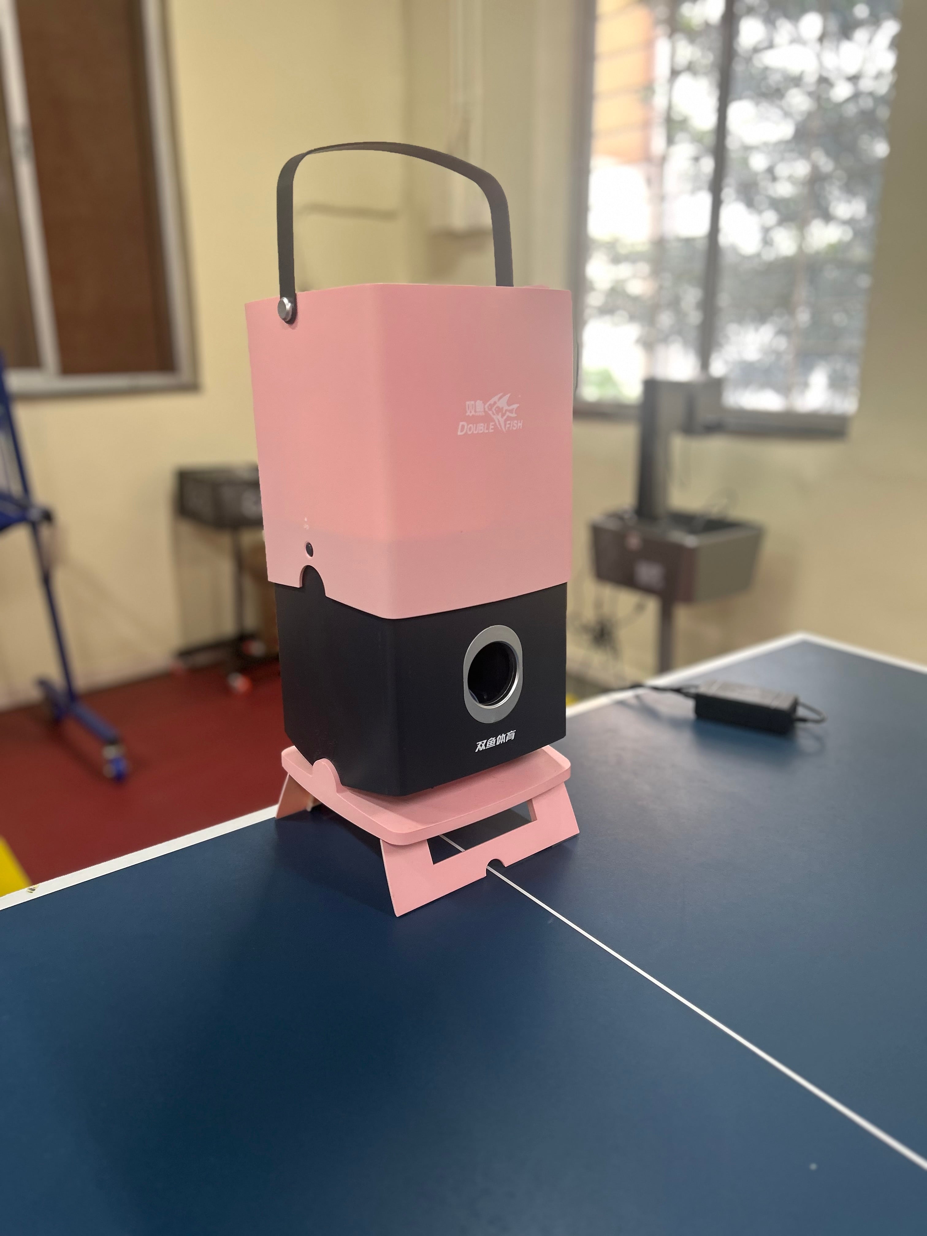 Double Fish Little fish Wire Controlled Robot