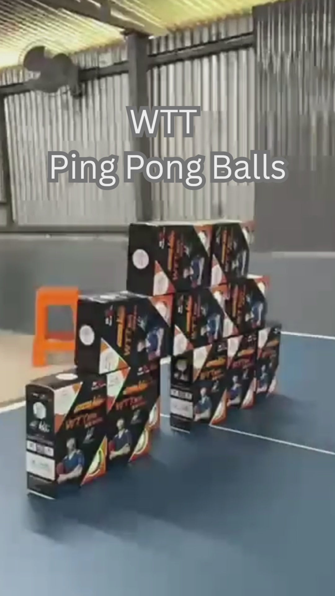 Double Fish WTT  V40+