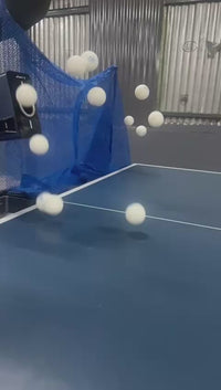 Double Fish Ball White 1 Star